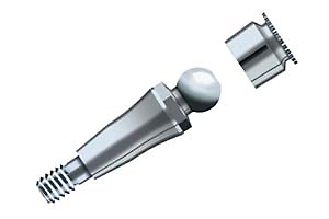 ANKYLOS® Abutment with Snap Attachment C/ complete